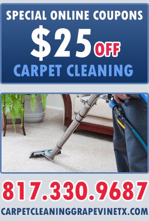 Online Coupons For Carpet Steam Cleaners