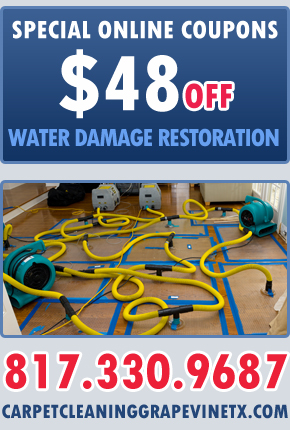 Water Removal and Extraction